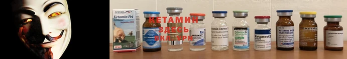 трава Балахна