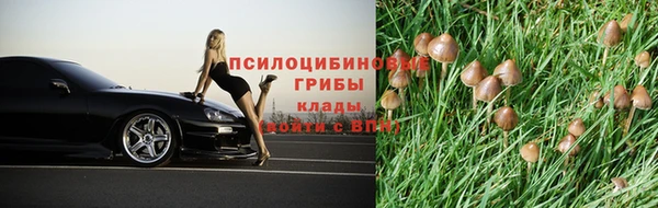 синтетический гашиш Белокуриха