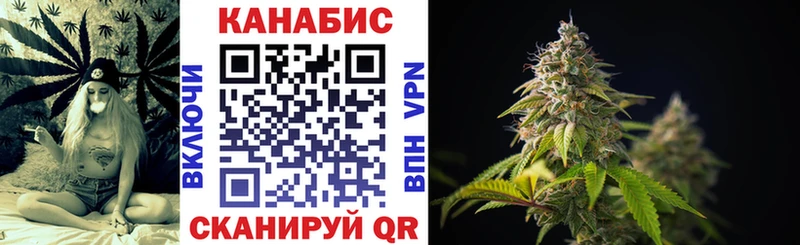 дарнет шоп  Электрогорск  мега рабочий сайт  Бошки Шишки OG Kush 
